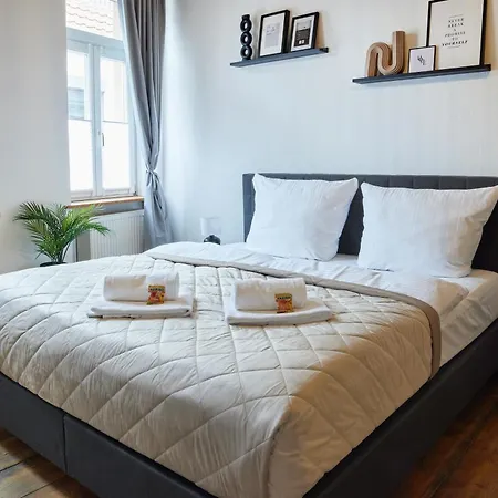 Upper Altstadt-apartment Im Herzen Der Pfalz